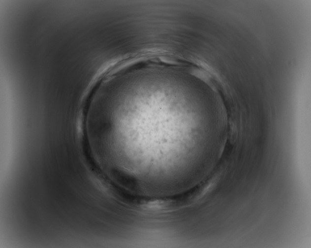 X0000088220064200705221812