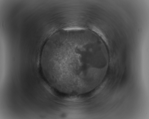 X0000088220065200705221812