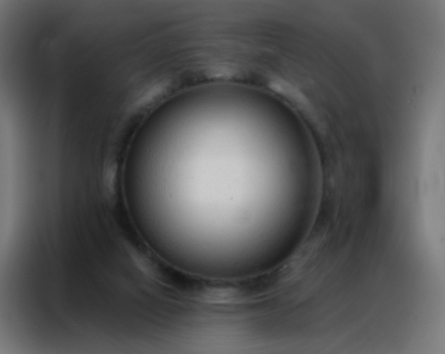 X0000088220066200705221812