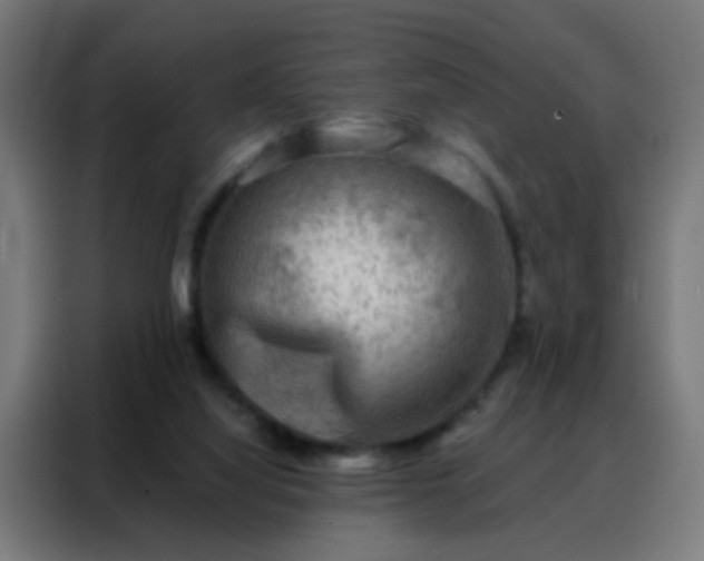 X0000088220068200705221812