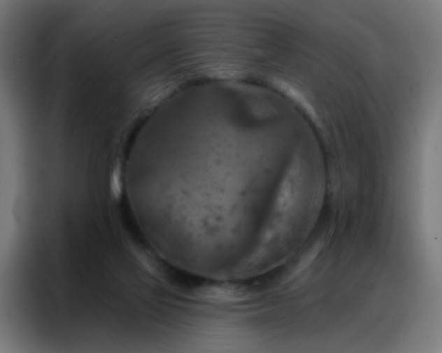 X0000088220069200705221812