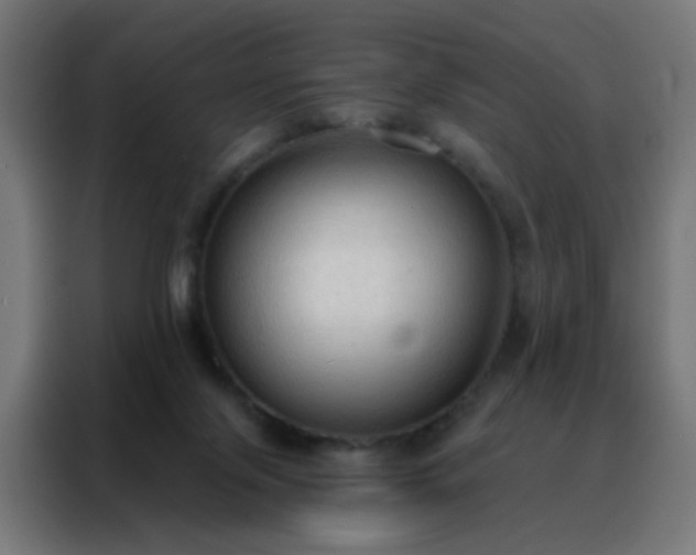 X0000088220071200705221812