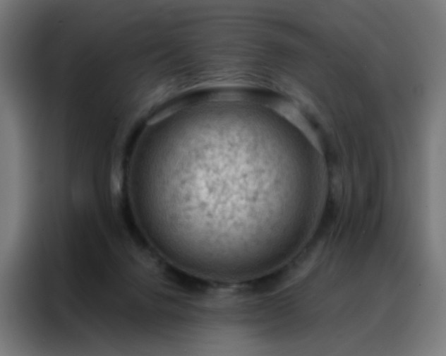 X0000088220072200705221812