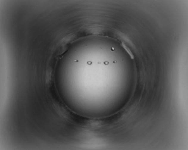 X0000088220073200705221812