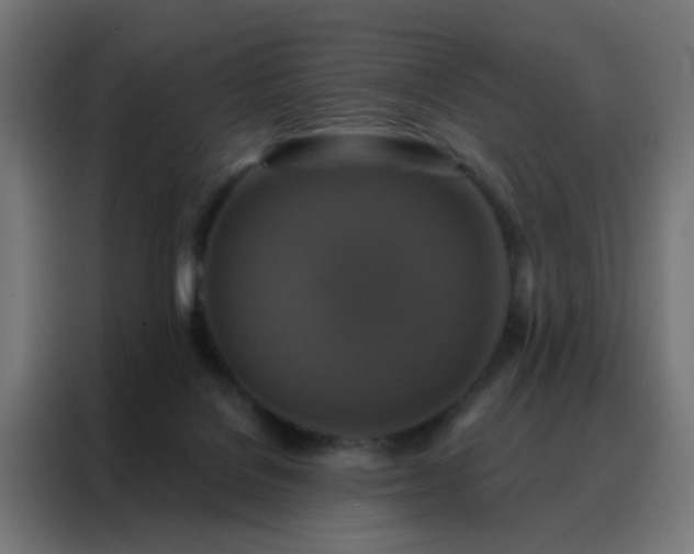 X0000088220076200705221812