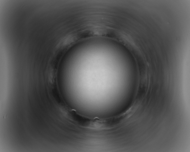 X0000088220078200705221812