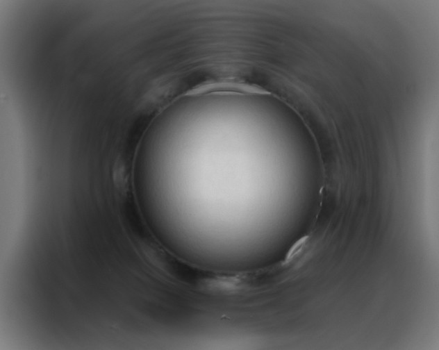 X0000088220086200705221812