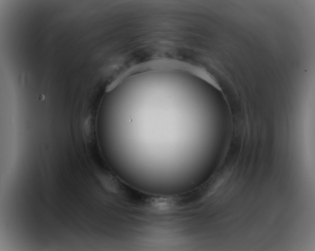 X0000088220088200705221812