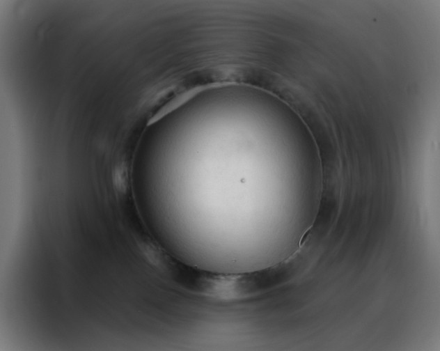 X0000088220090200705221812