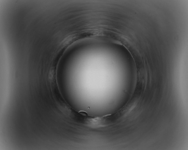 X0000088220092200705221812