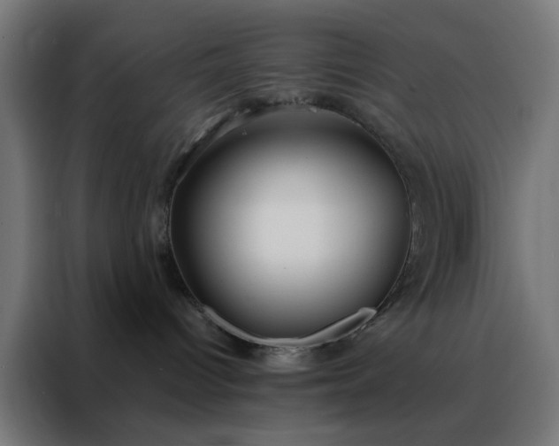 X0000088220096200705221812