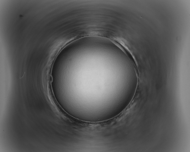 X0000088220097200705221812