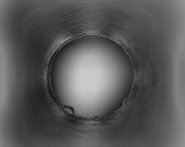 X0000088220098200705221812