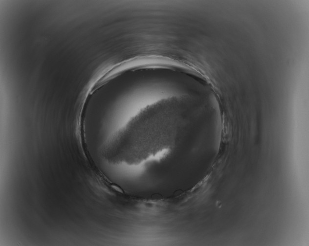 X0000088220099200705221812