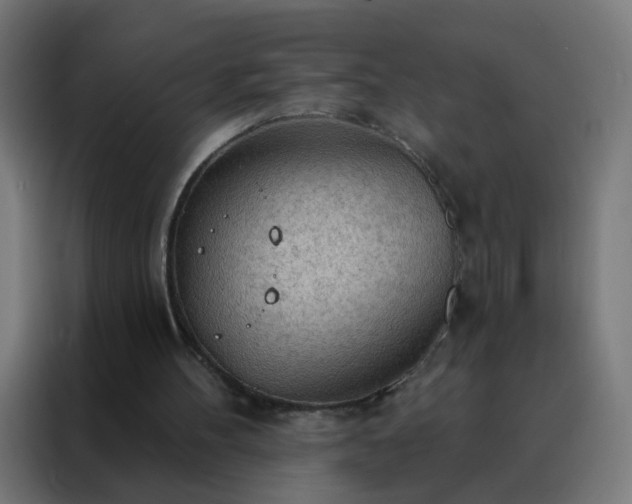 X0000088220100200705221812