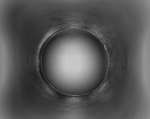 X0000088220102200705221812