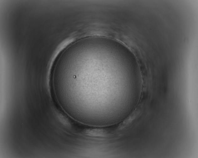 X0000088220104200705221812