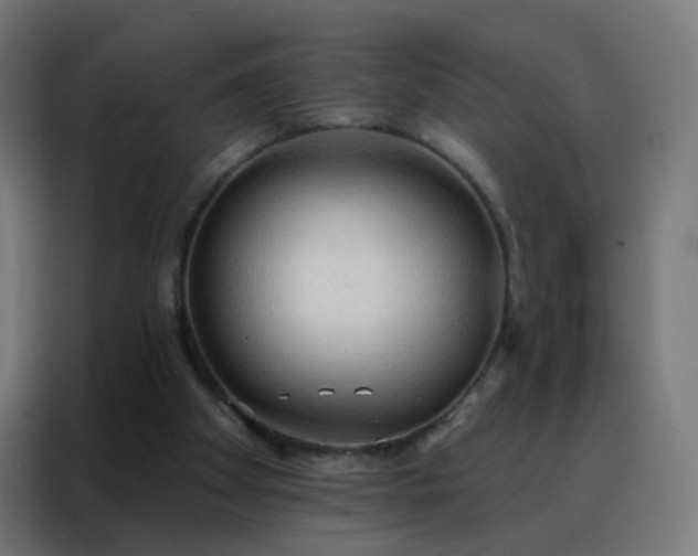 X0000088220105200705221812