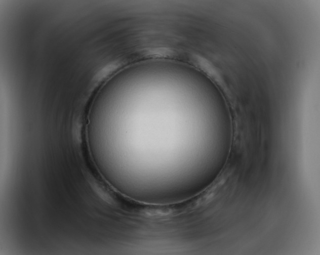 X0000088220106200705221812