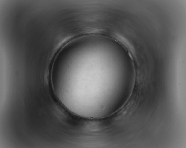 X0000088220107200705221812