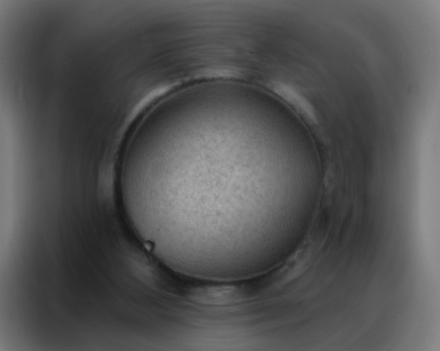 X0000088220108200705221812