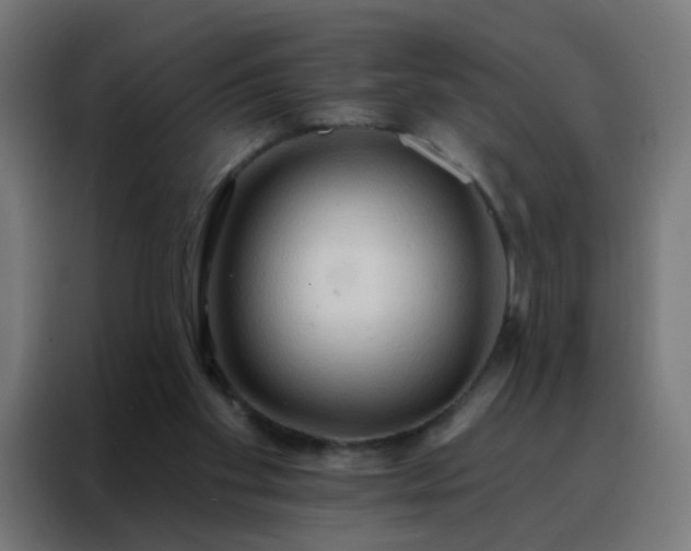 X0000088220109200705221812