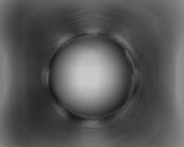 X0000088220110200705221811