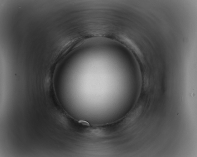 X0000088220113200705221811