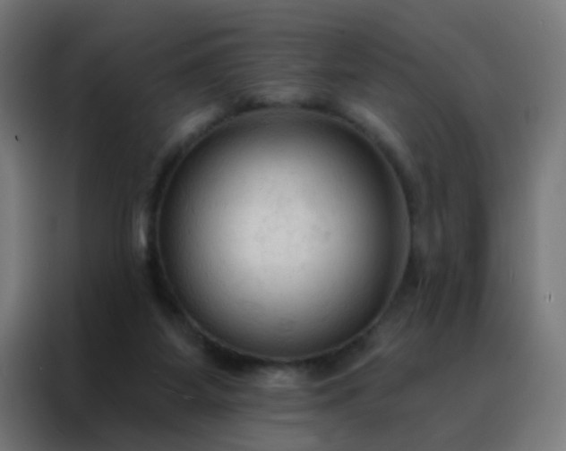 X0000088220115200705221811