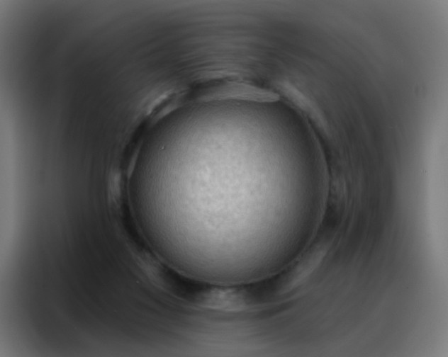 X0000088220117200705221811