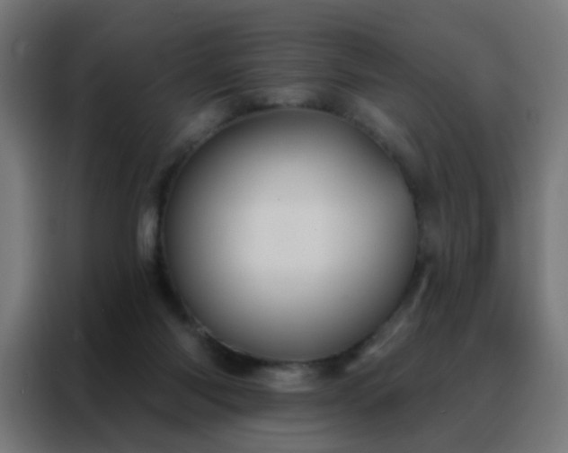 X0000088220118200705221811