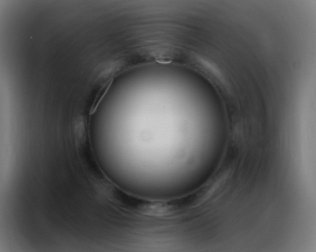 X0000088220121200705221811