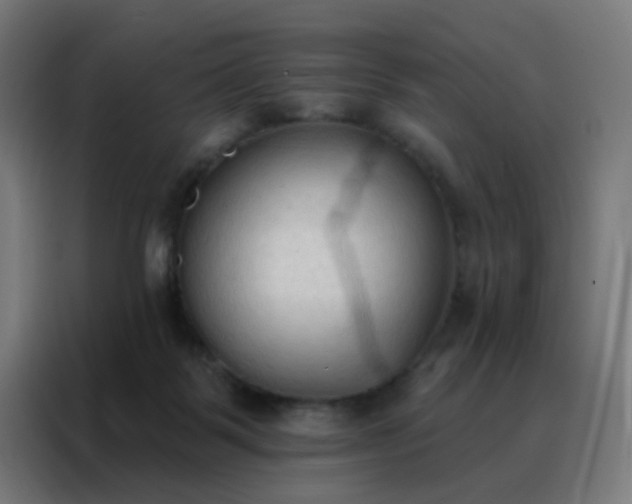 X0000088220123200705221811