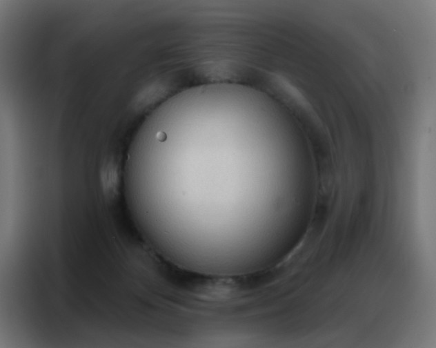 X0000088220124200705221811