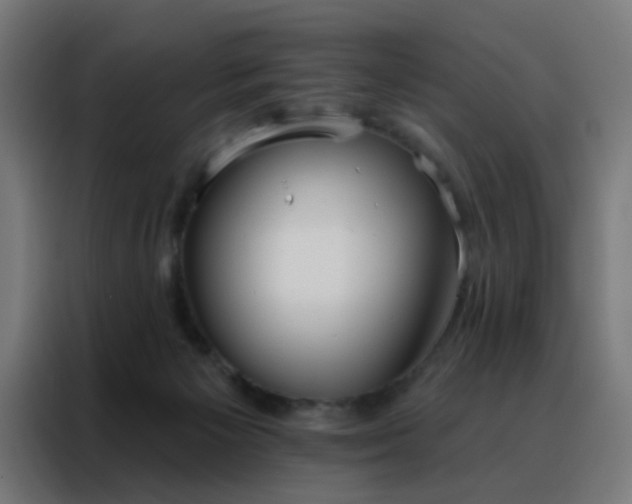 X0000088220125200705221811