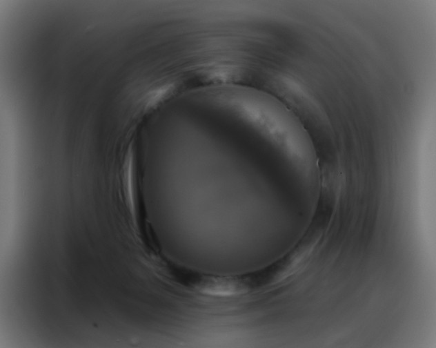 X0000088220127200705221811