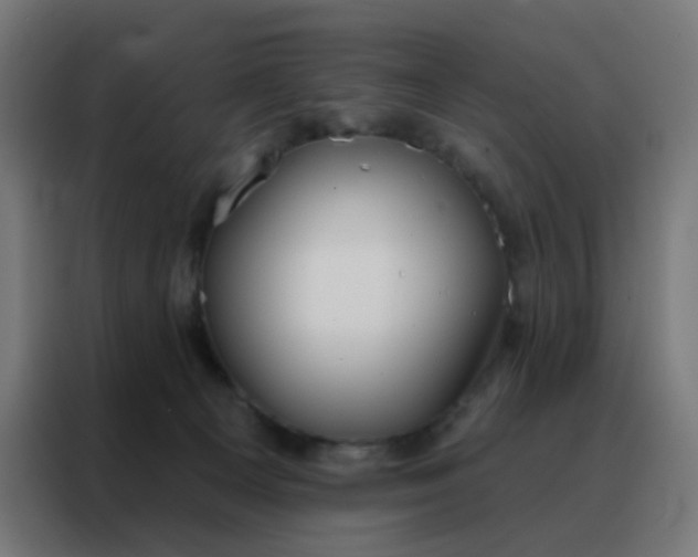 X0000088220129200705221811