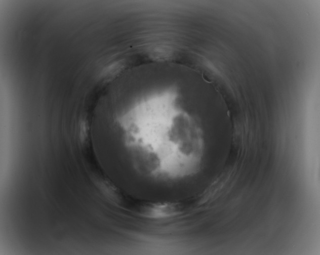 X0000088220130200705221811