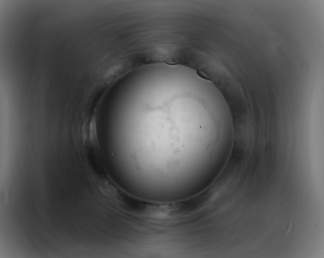 X0000088220131200705221811