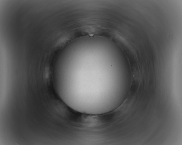 X0000088220132200705221811