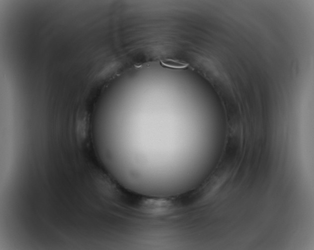 X0000088220133200705221811