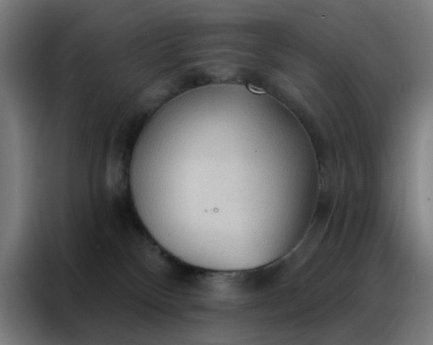 X0000088220136200705221811