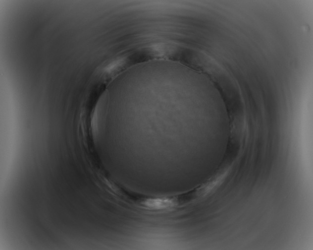 X0000088220137200705221811