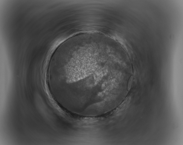 X0000088220145200705221810