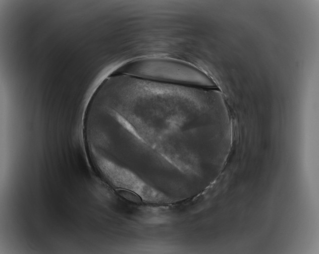 X0000088220147200705221810