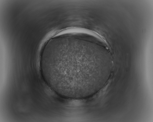 X0000088220149200705221810