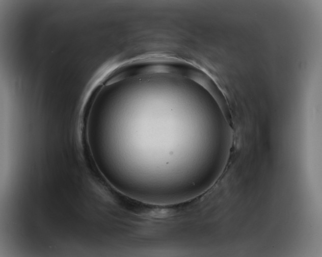 X0000088220152200705221811