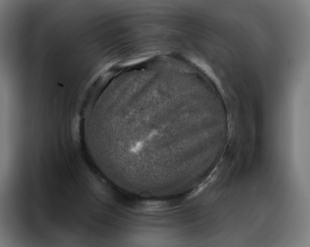 X0000088220154200705221811