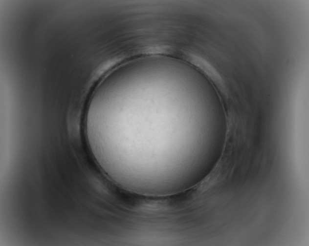 X0000088220155200705221811