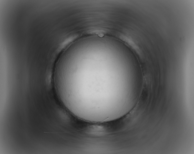 X0000088220159200705221811